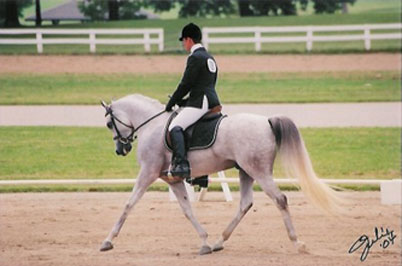 Richter's Tsunami ( Richter MH x Thee Lorelei )